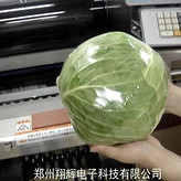 蔬菜自動(dòng)包裝機(jī)